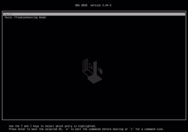 Selecting the USB drive from the boot menu